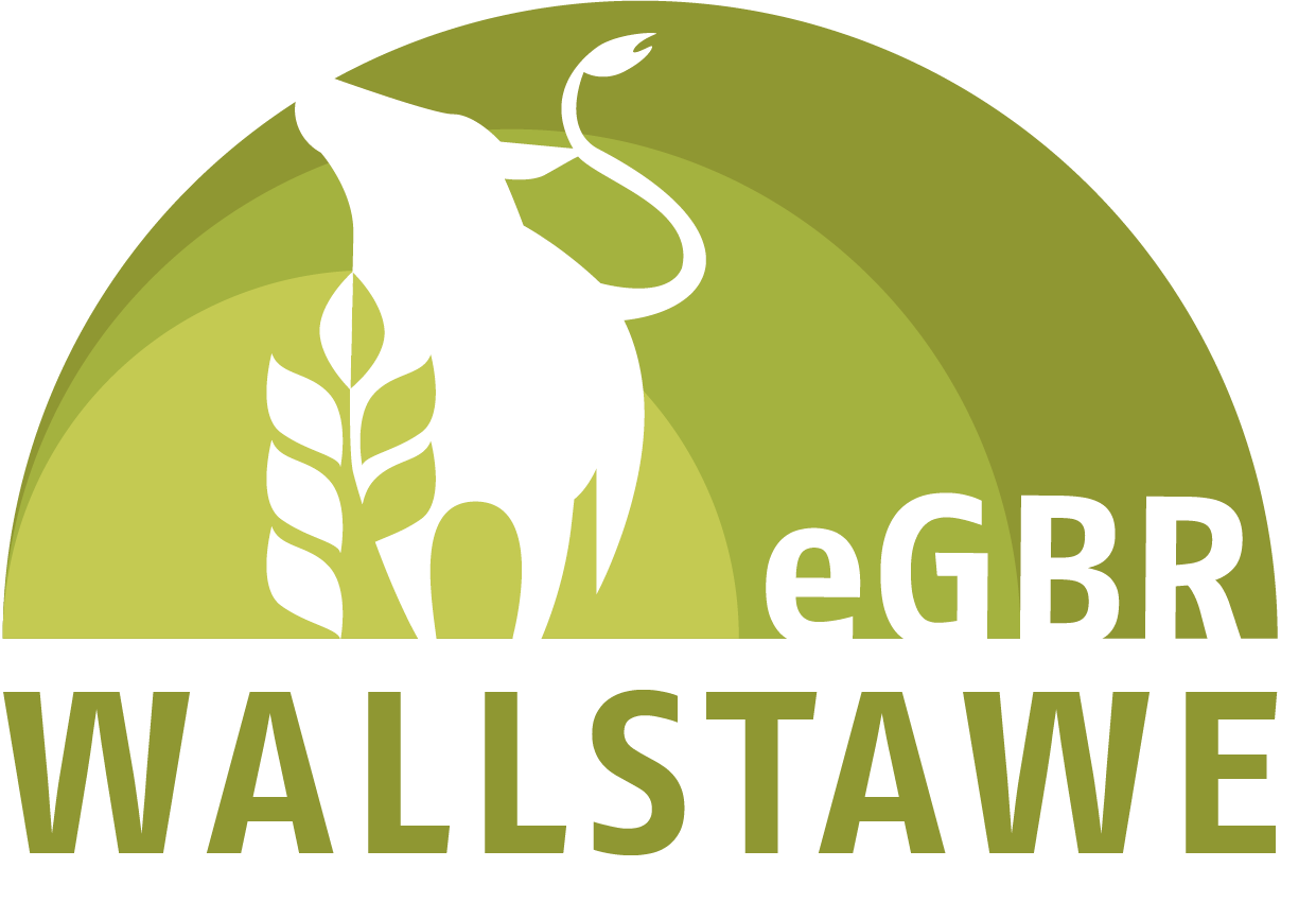 eGbR Wallstawe eGbR Wallstawe